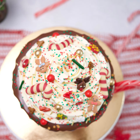 Hot Chocolate Christmas Cake