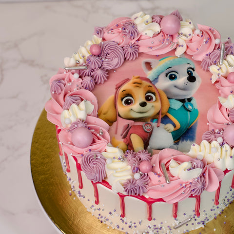 Roze_Paw_Patrol